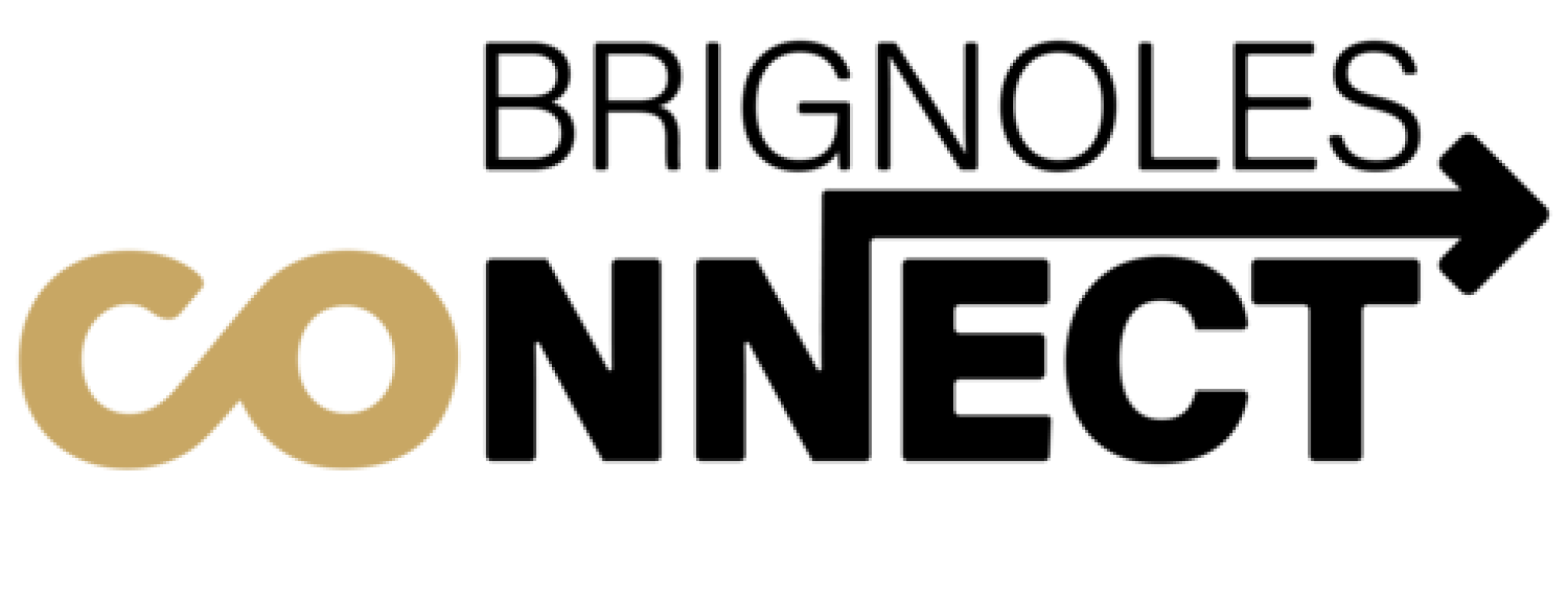 BrignolesConnect